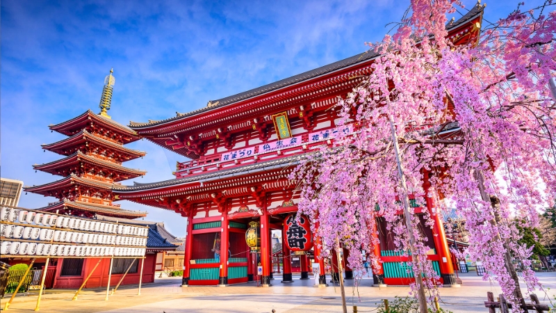 Sensoji Temple Asakusa Tokyo Japan