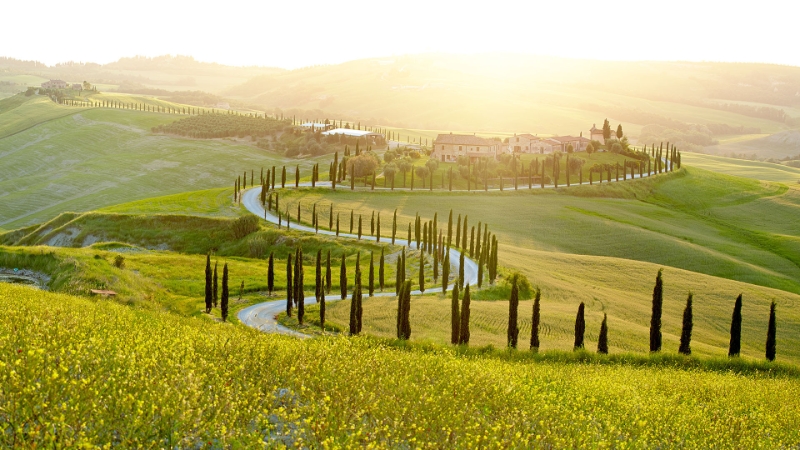 Sunny Fields Tuscany