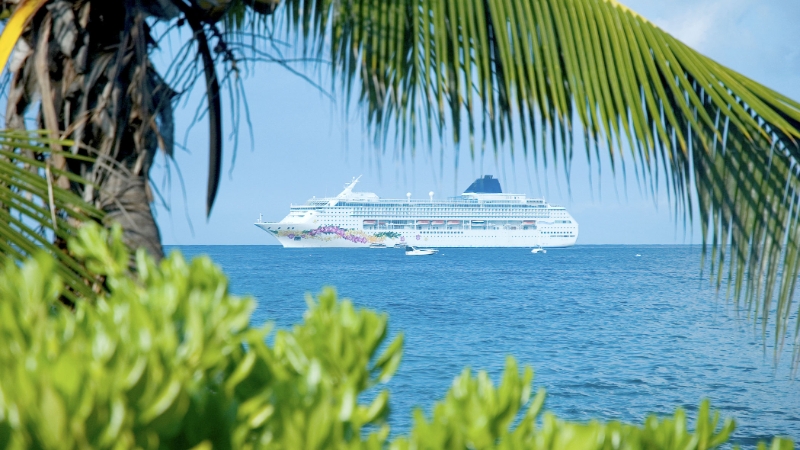 Cruise Lines