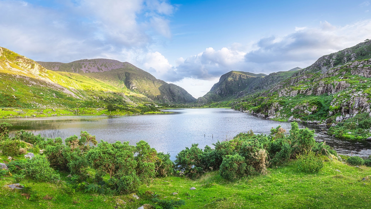 Discover Ireland Tour