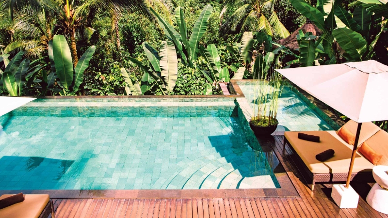 Pool Jungle