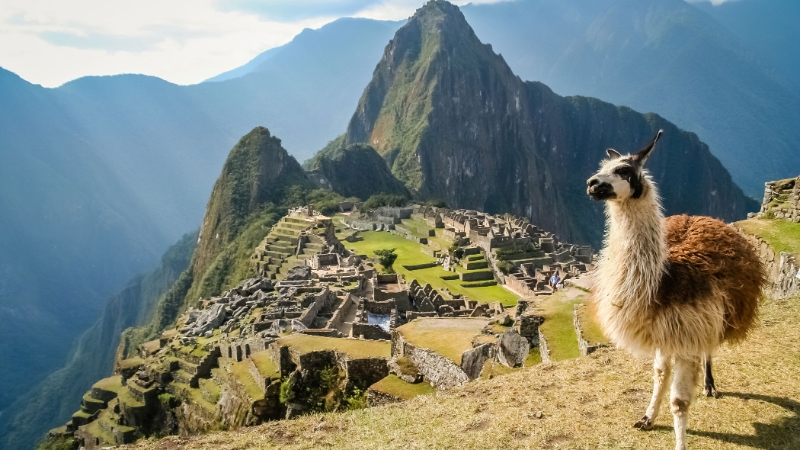 Machu Picchu