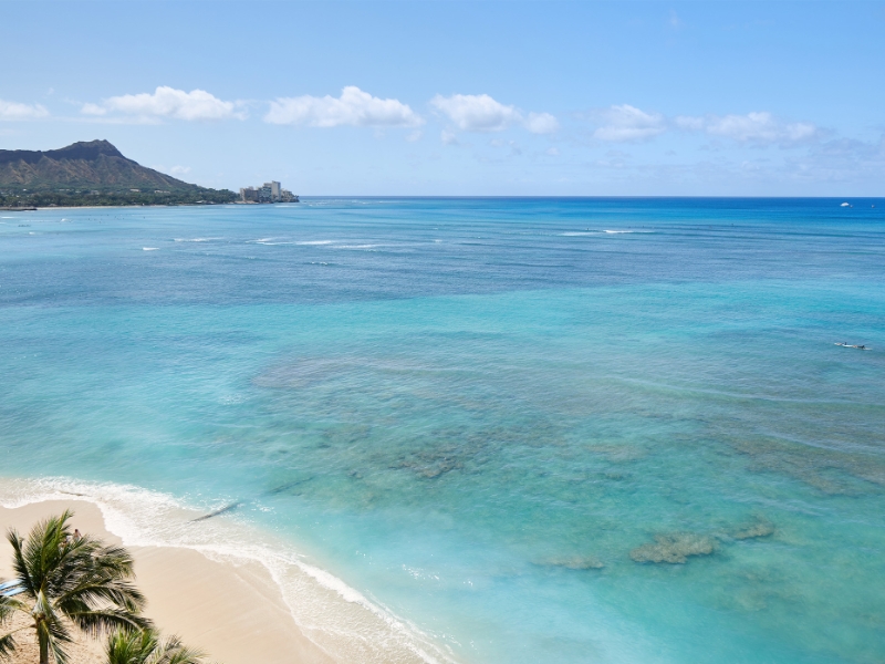 Oceanfront King View