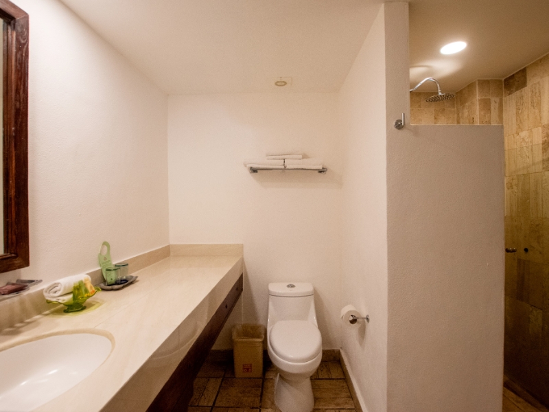 Standard Room King Bed