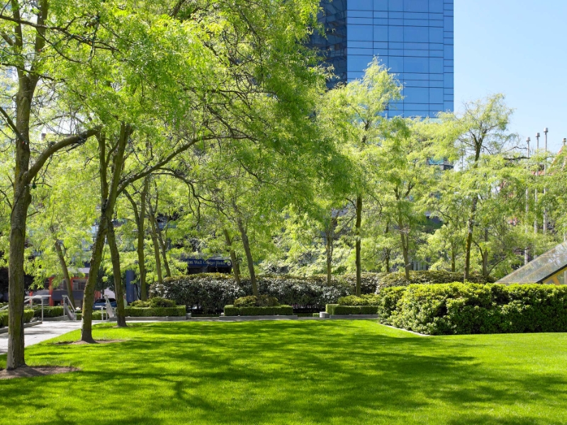 Garden