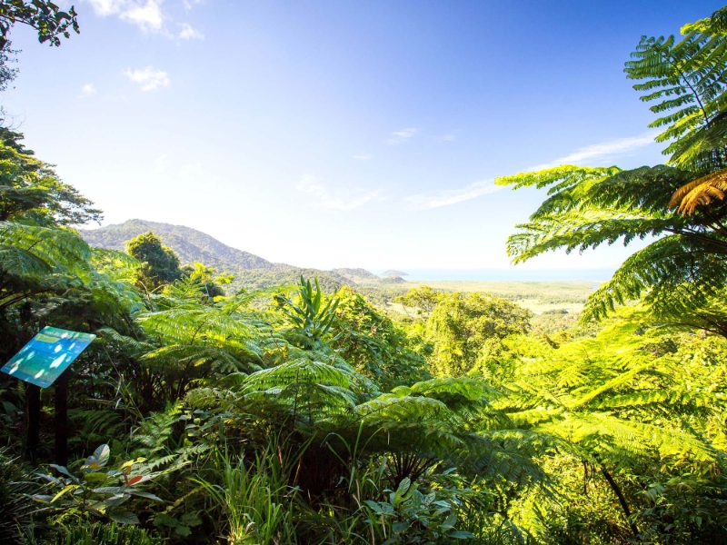 Daintree National Park