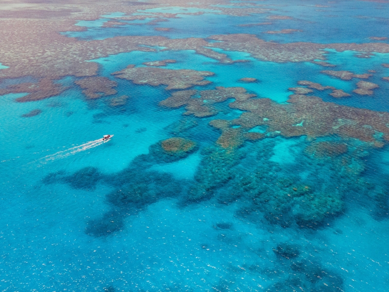 Cairns Barrier Reef
