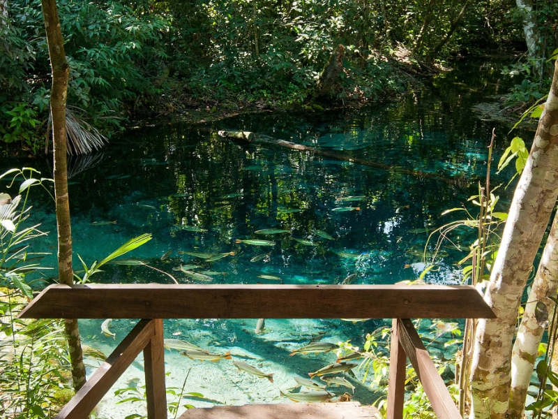 Aquario Encantado River Nobres