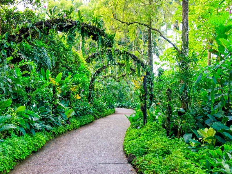 Singapore Botanic Gardens