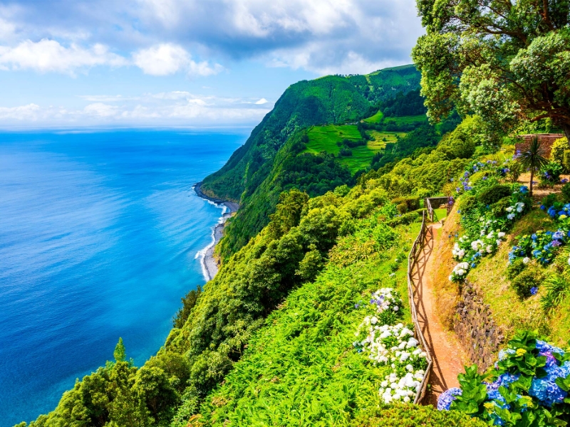 Sao Miguel Coastline