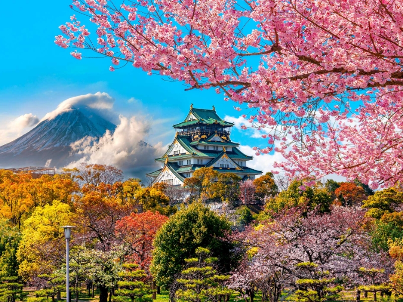 Osaka Castle