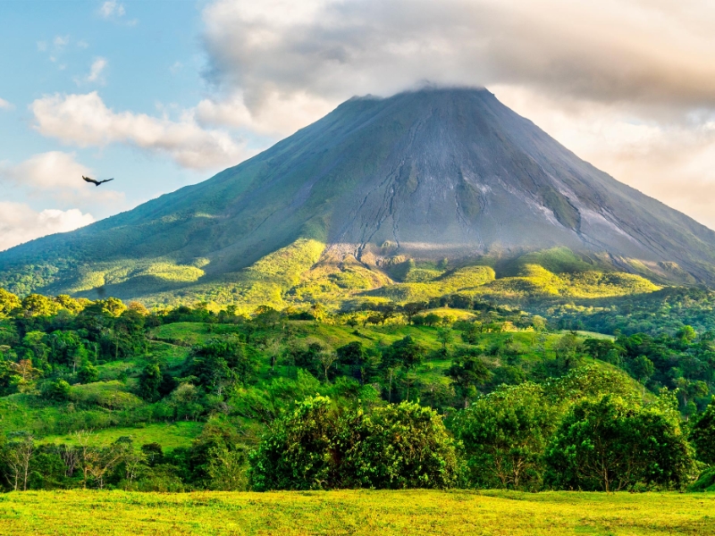 Arenal