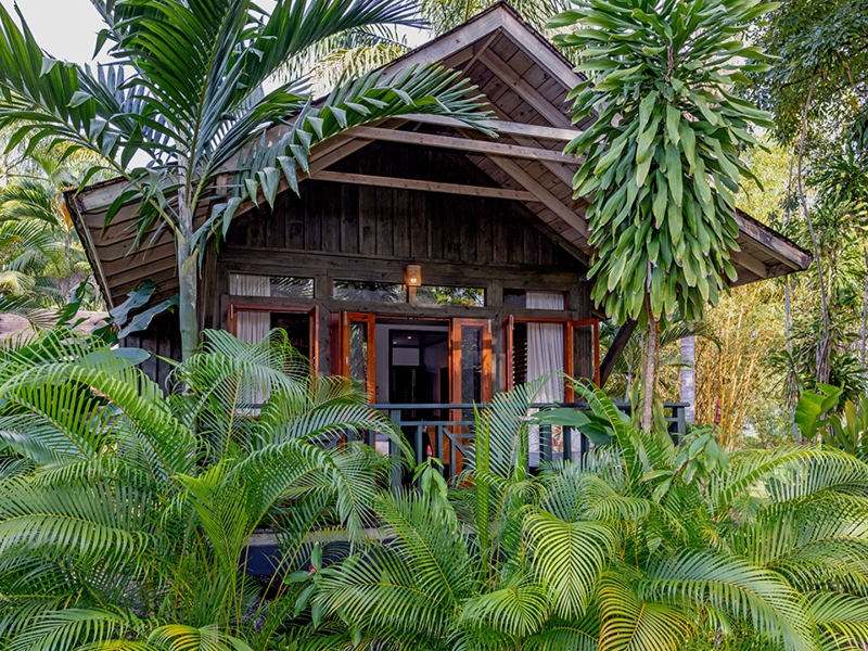 Treetop suites