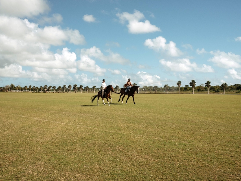 Horseback Riding Activity