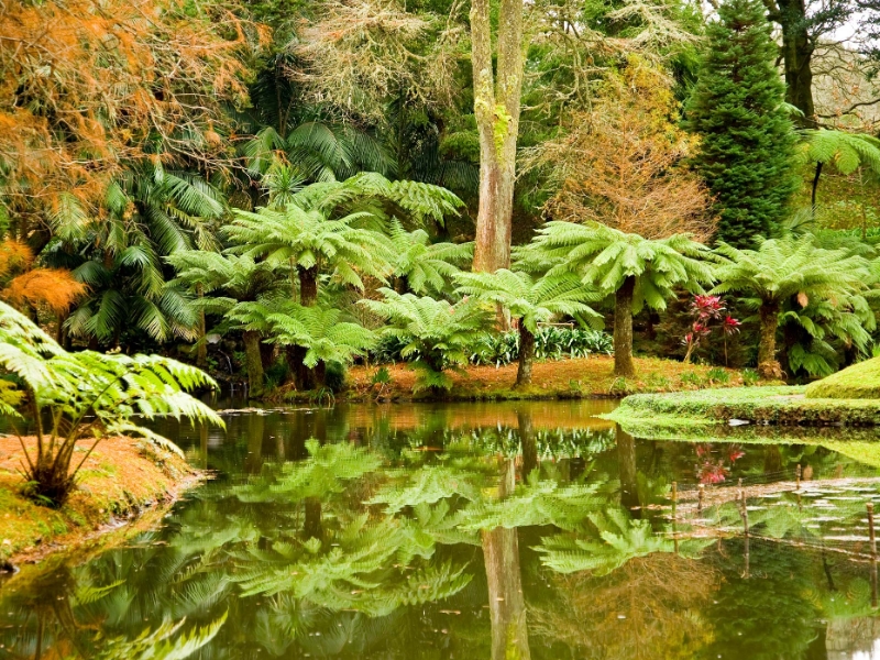 Terra Nostra Park