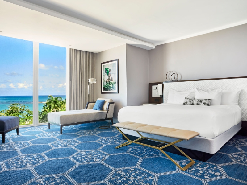 Oceanview One Bedroom Suite