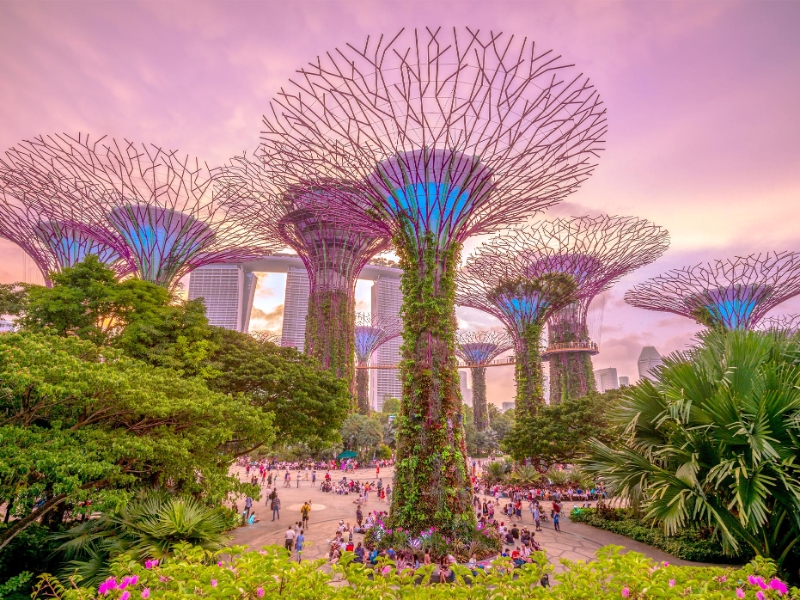 The Best of Singapore