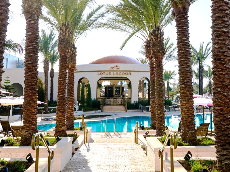 Lotus Lagoon