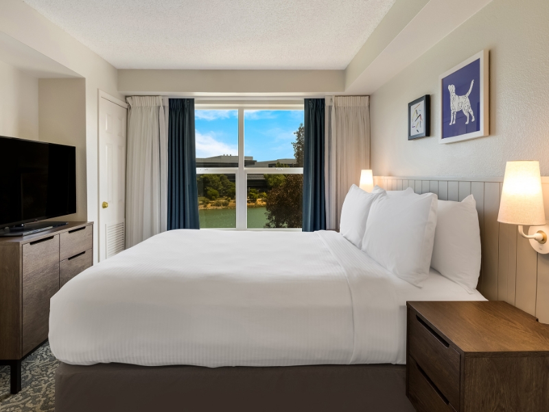 One Bedroom Suite