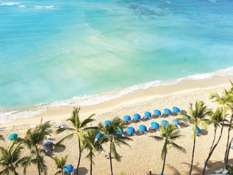 Ocean Front View