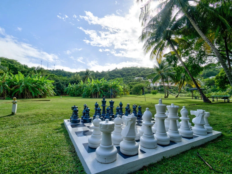 Chess Activity