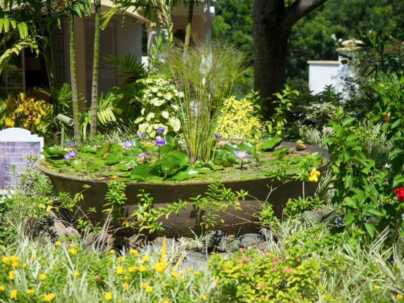 Gardens
