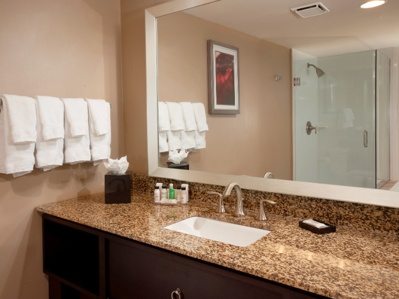 Suite Bathroom