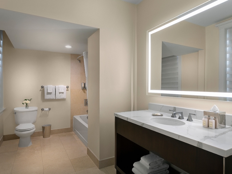 Double Suite Bathroom