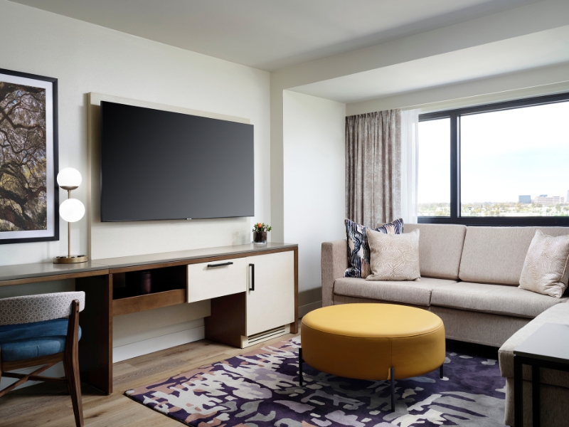 Studio Suite Living Area