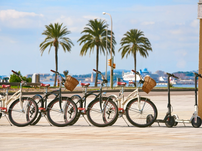 Bike Rentals