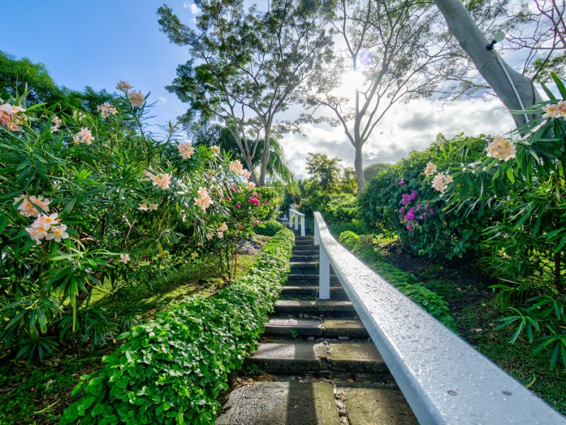 Garden Walking Area