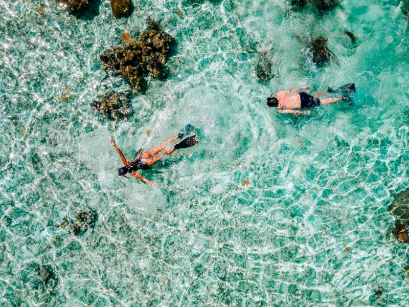 Rhythm Reef Experience