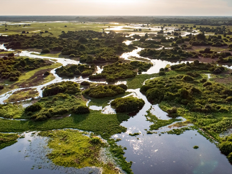 Pantanal Wetlands