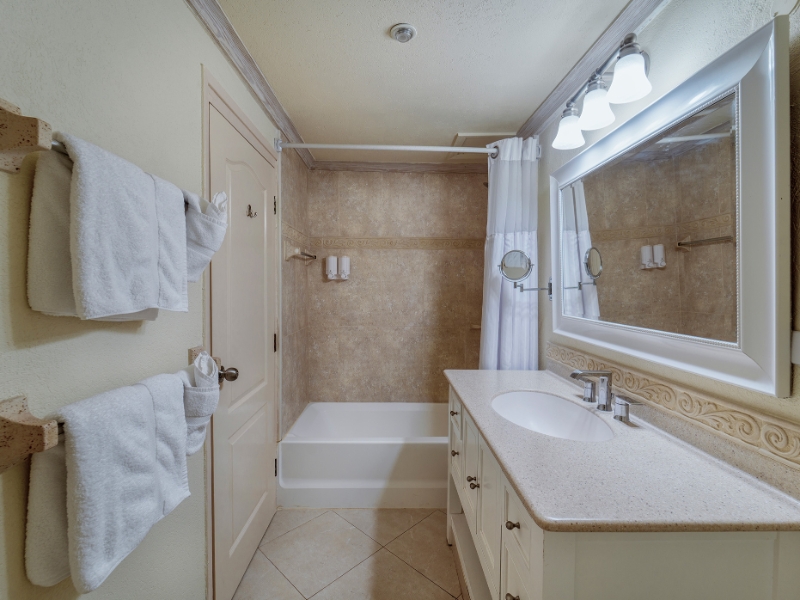 Luxury Suite bathroom