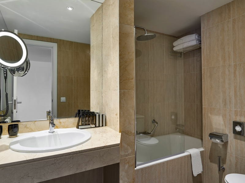 Family Room Bathroom