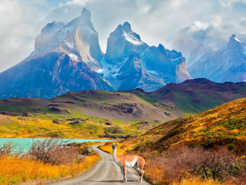 Torres del Paine