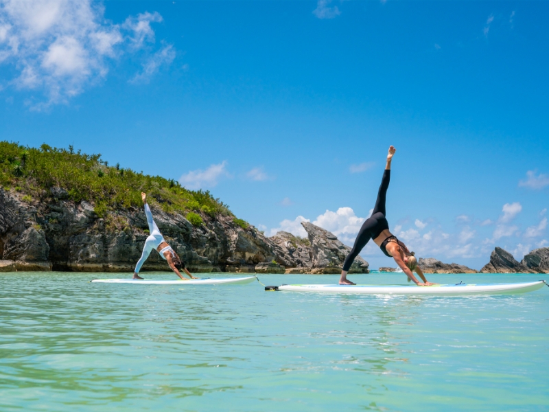 Paddle Board