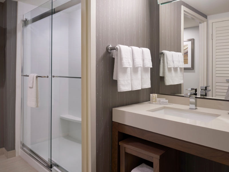Guest Bathroom Shower