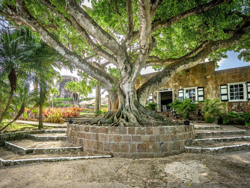 The Terrace Entrance