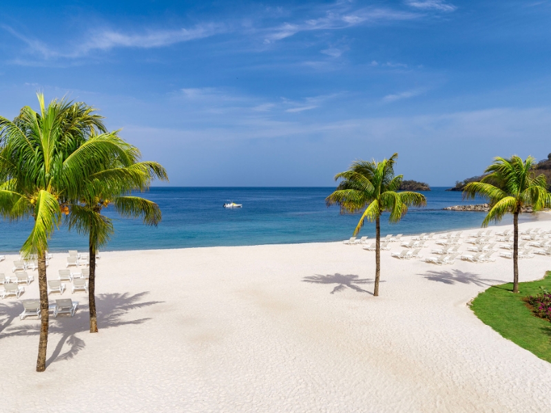 Beach Ocean Chairs