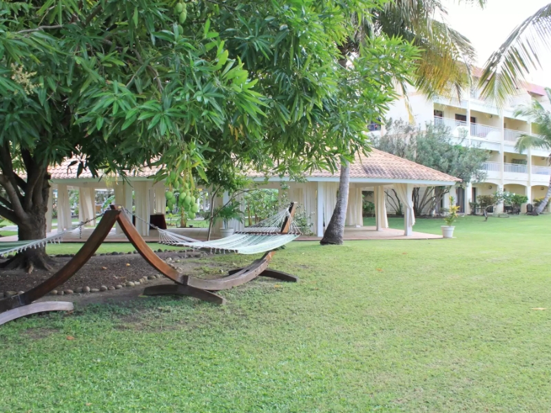 Grounds View