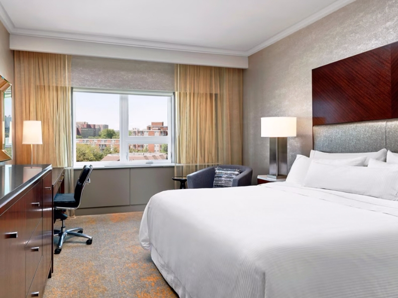 King Guestroom