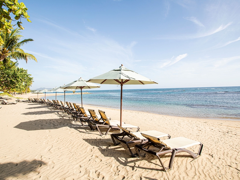 Beach Sun Beds