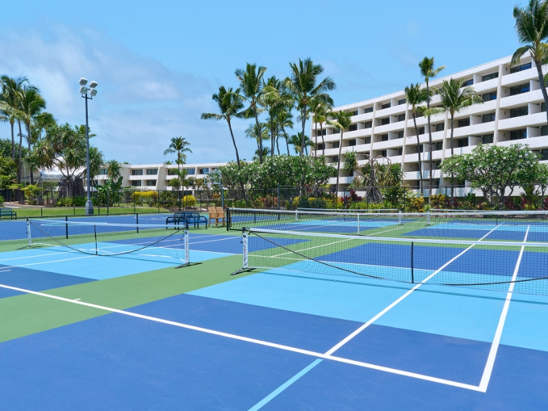 Pickleball Court