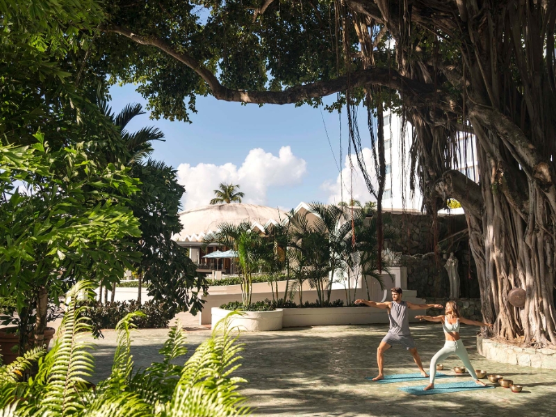 Banyan Tree Yoga