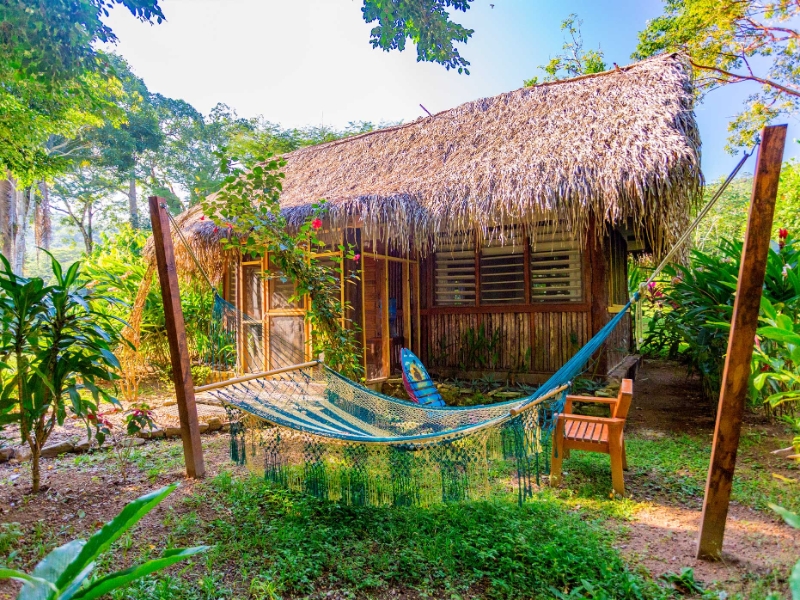 Hammock