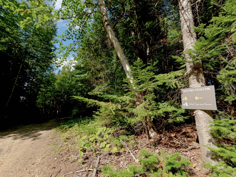Nature Trail