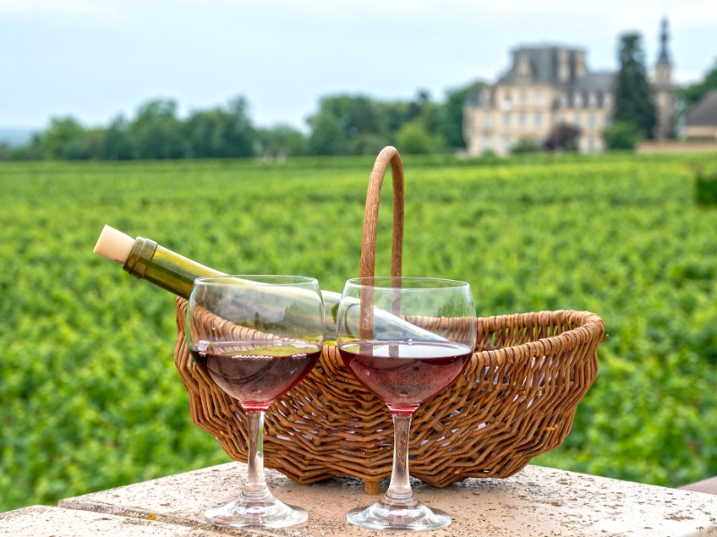 Burgundy Vineyard