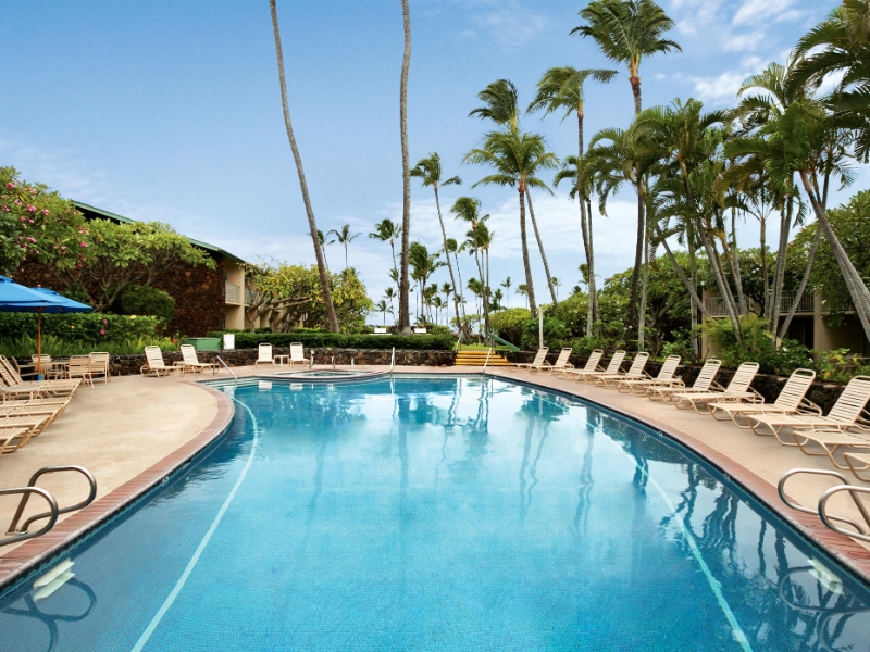 Exterior Garden Pool