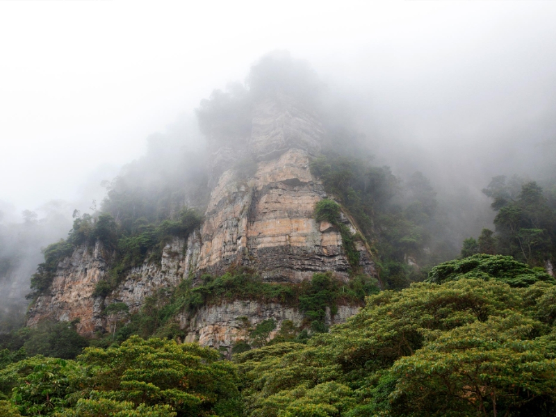 Chicaque Natural Park